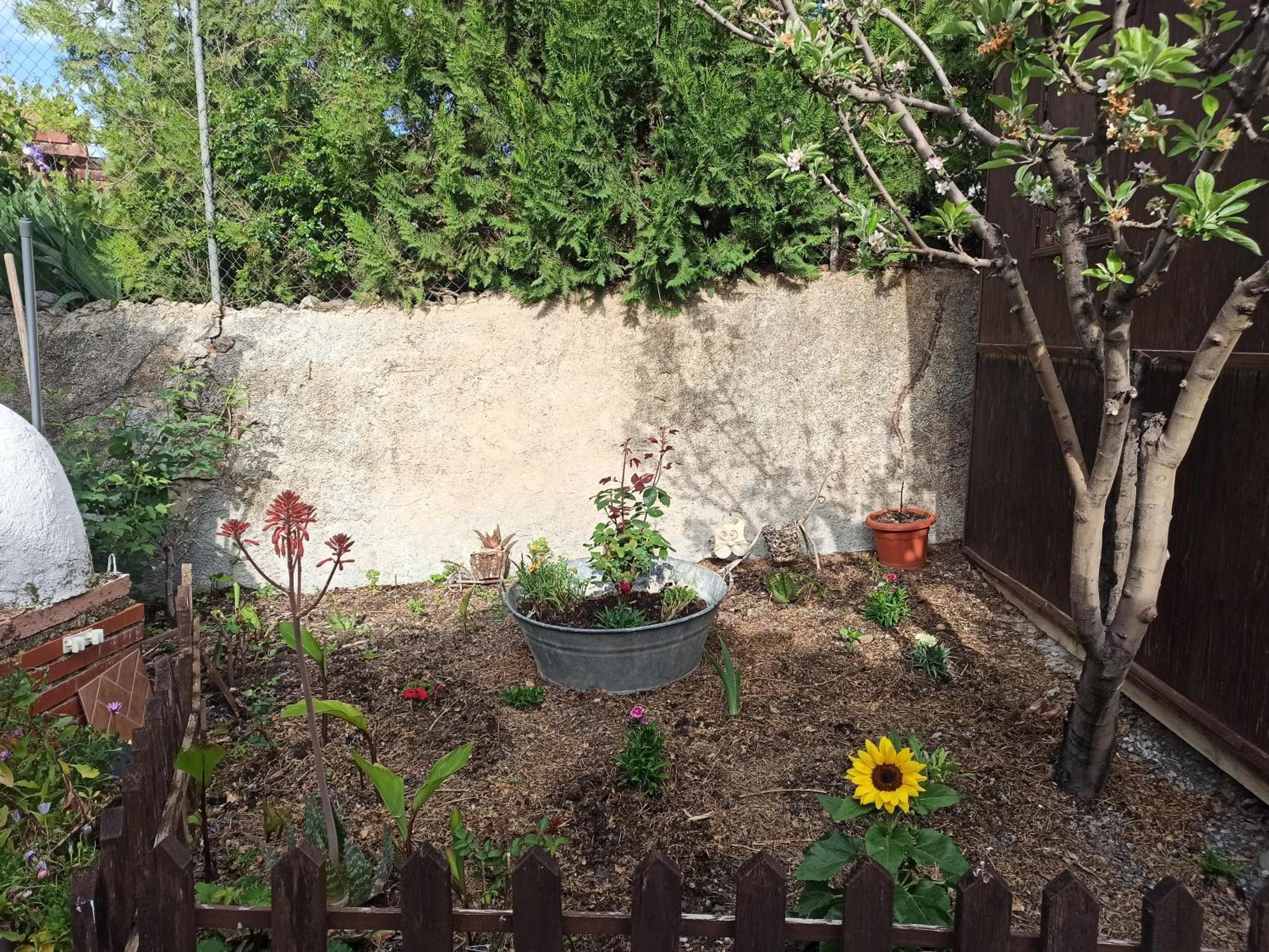 Casita De Campo El Bujeo